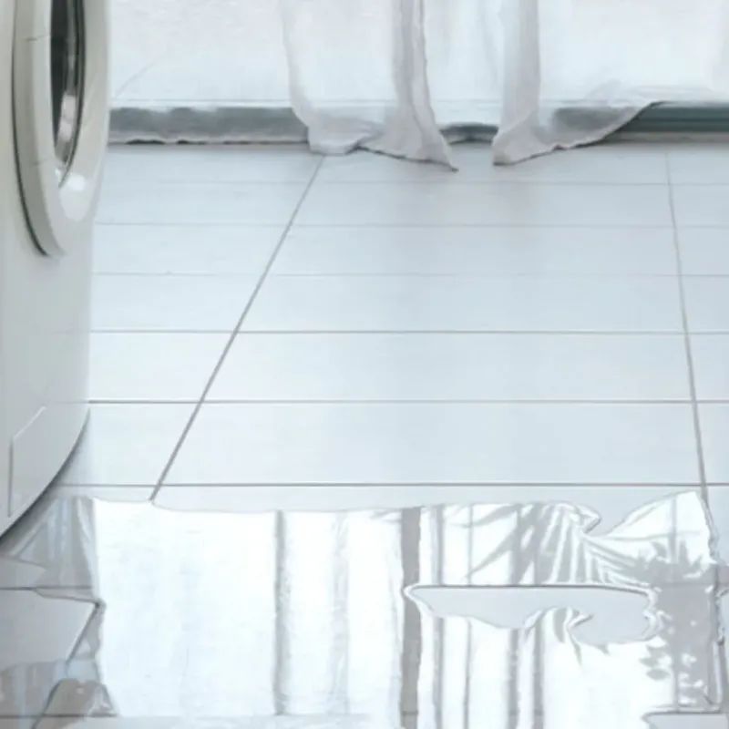 Appliance Leak Cleanup in SeaTac, WA